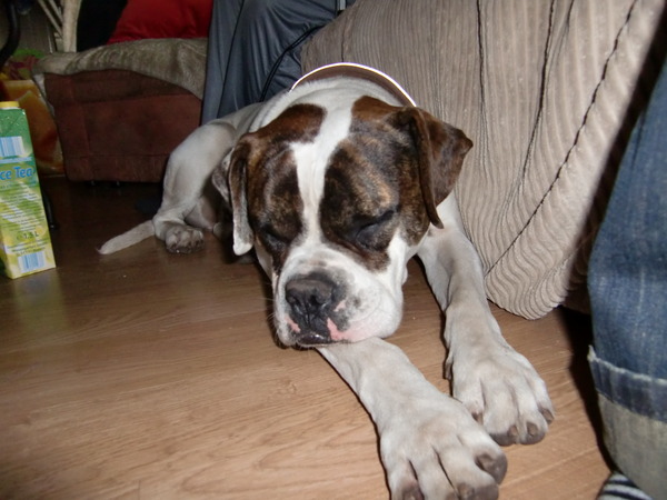 stiekem op de foto haha