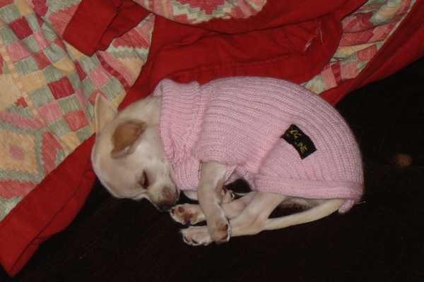 Je Vois La Vie En Rose !!!!!