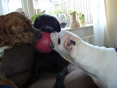 vechten voor bal bezit :)