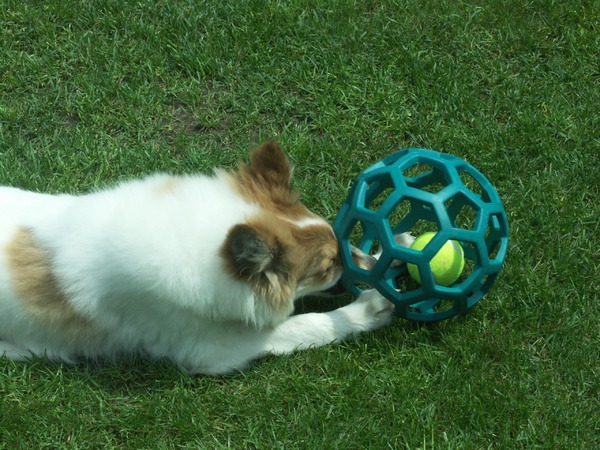 wat nou een doelpunt halen