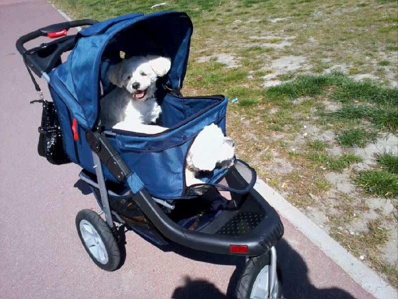 waarom lopen als je kan blijven zitten?