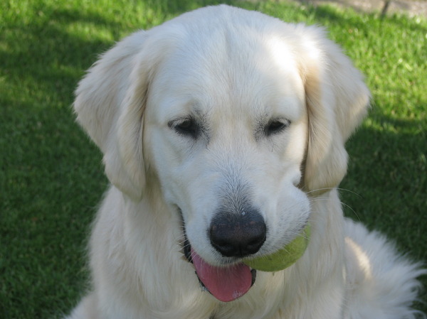 kijk is hoe lang ik de bal kan hooghouden