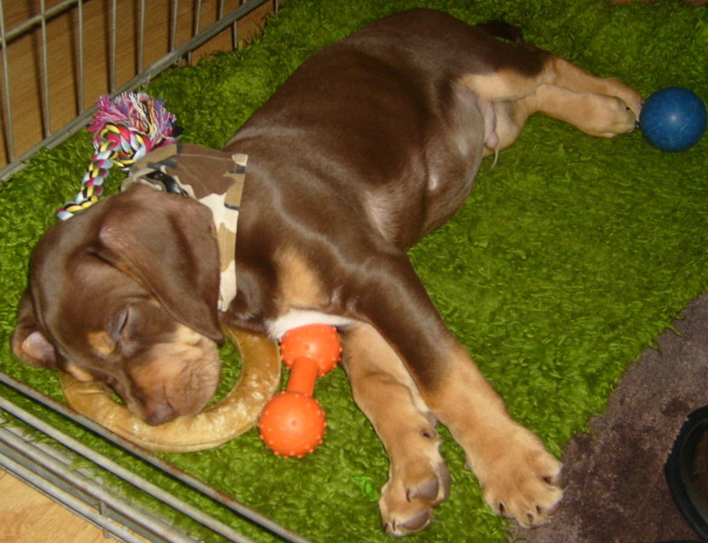 Vermoeid na het spelen