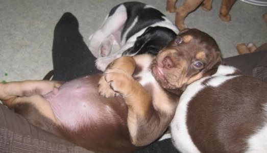 Hoezo lui? Ligt gewoon lekker zo!