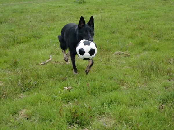 Lekker met mijn bal:D