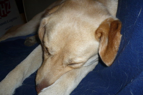 Jenna is in Dromenland..