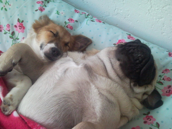 Lekker samen luieren