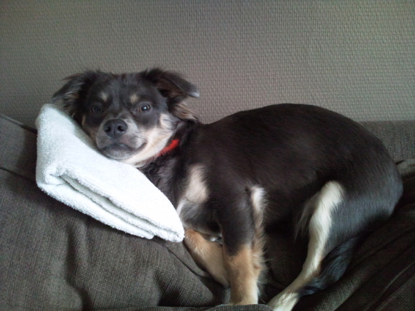 Lekker lui op de bank