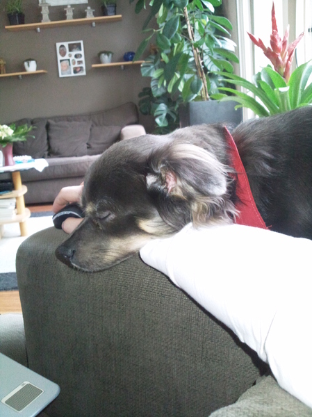 niet meer met de laptop