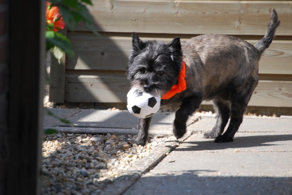 Chelsea met een wk balletje.