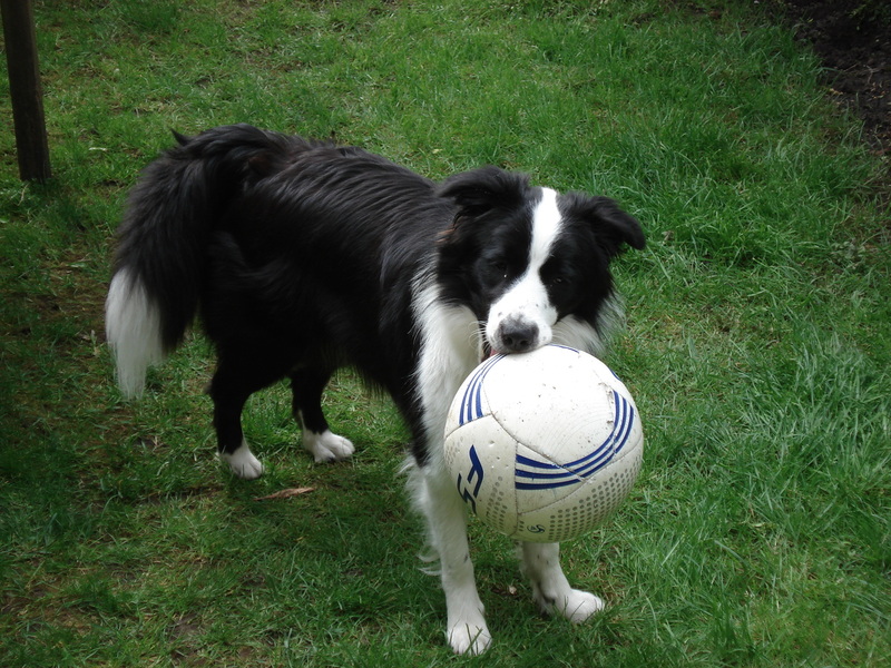 OH OWH nou is ie bijna LEK!