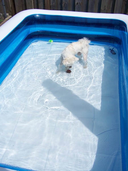 Diesel probeert de bal te pakken!