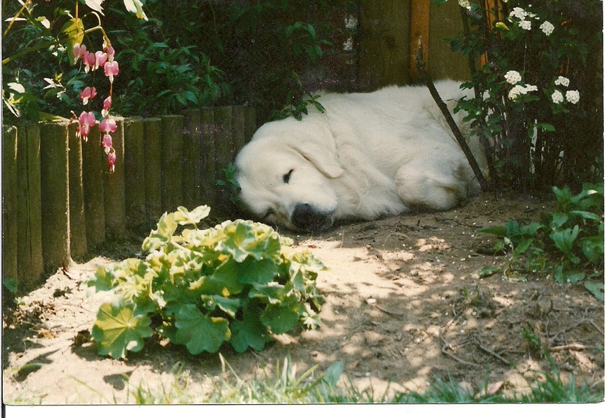 Inderdaad lekker lui!!