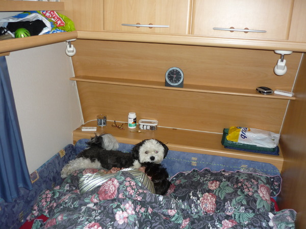 nog geen tijd om op te staan vrouwtje