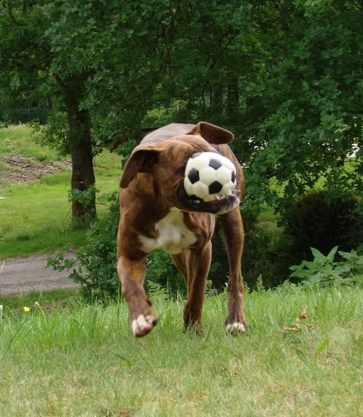 zukken we winnen zo?
