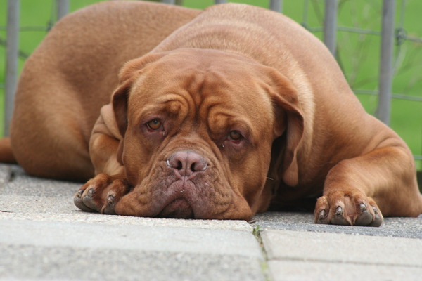 wat een heerlijk leven.......