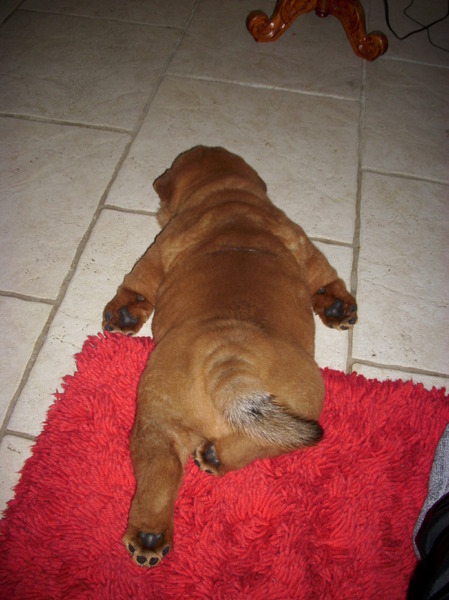 Onderweg in slaap gevallen