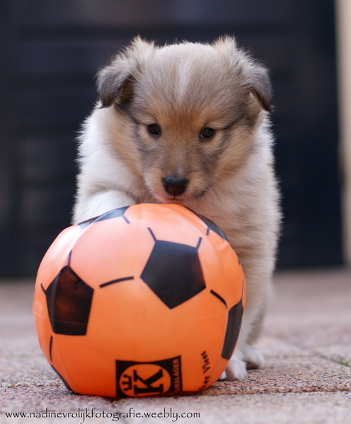 axell aan de bal.. :D