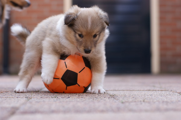 oh ohw.. het 'hakje' naar van de vaart mislukt O_o