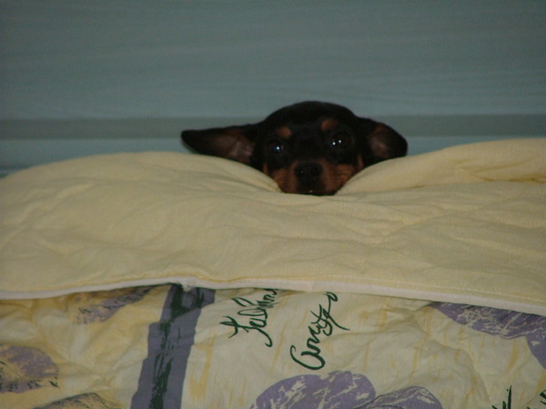 Lekker luilakken in bed.