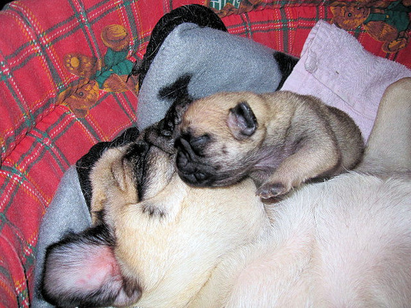 Maaaam wordt nou eens wakker...!