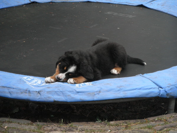 slapen op de trampoline