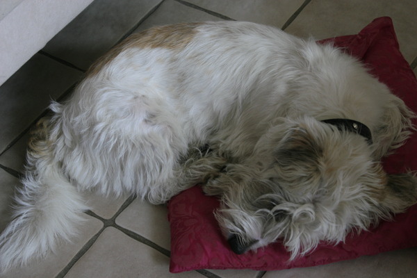 Dat is ook een lekker plekje om te slapen.