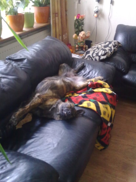 Ligt dat nou makkelijk