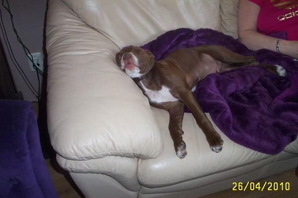 Tyson helemaal in coma