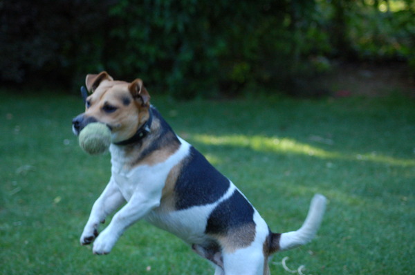 vervanging van keepers