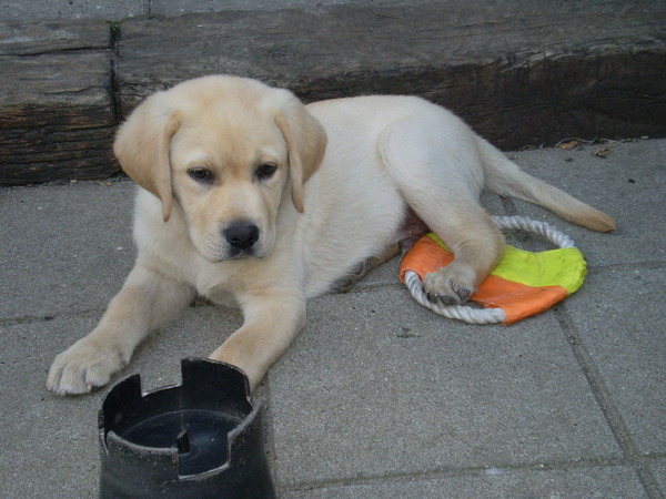 kom er eens aan !!!!!