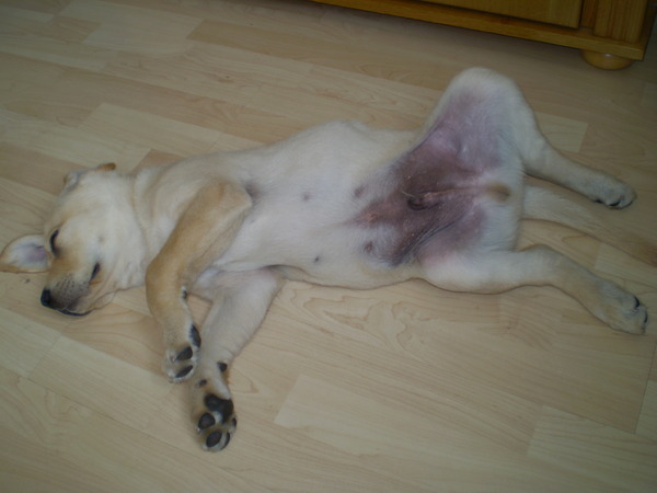 zooooooooooooo moe van de warmte