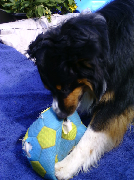 Wie zegt dat je alleen kan voetballen met een bal?