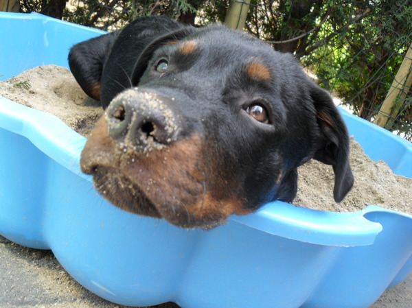 Lekker lui in de zandbak