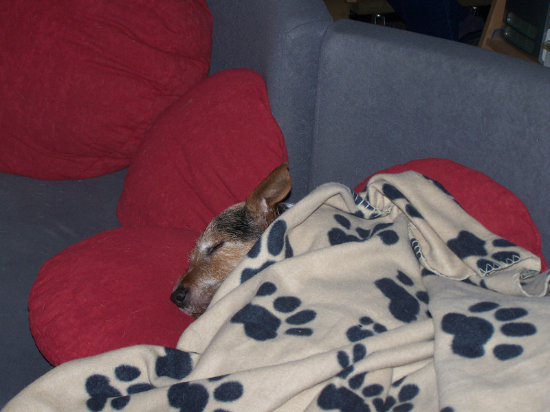 Heerlijk aan het slapen !