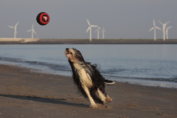 effe een sprintje trekken
