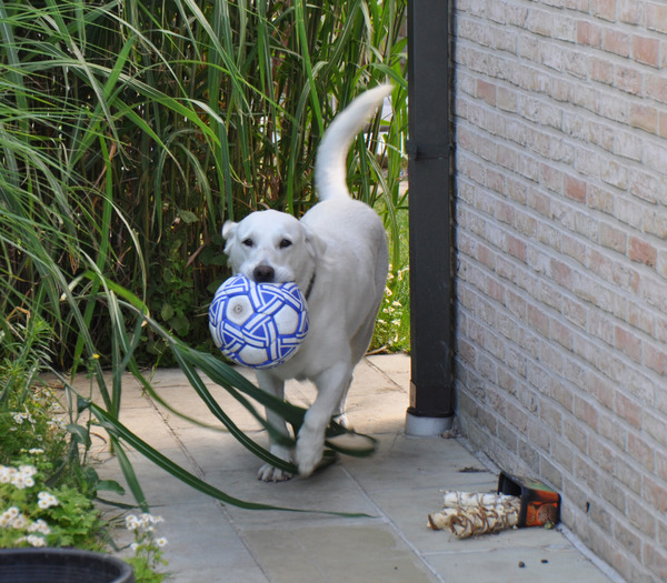 Wie kan er mij stoppen?