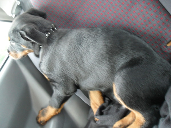 Lekker mee met de auto