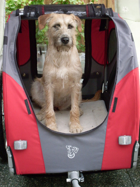 Boyaatje in dr fietskar, zo trots als n pauw hihi