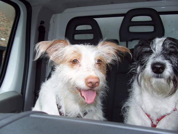 Op naar ons nieuwe huisje met hele grote tuin