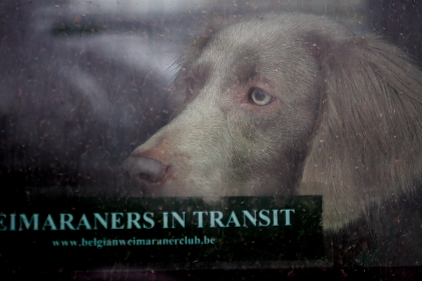 Rustig wachtend tot ik het veld in mag