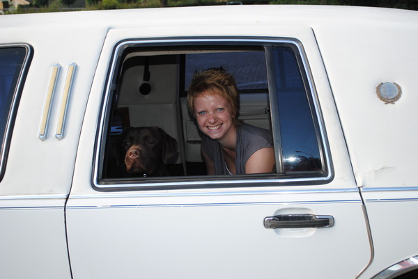 in de limousine