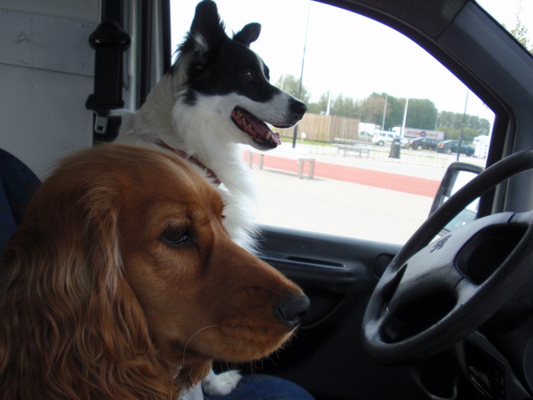 Tara en Spooky voorin..wij achterin!