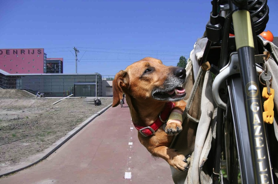Takkie en zn fietstas