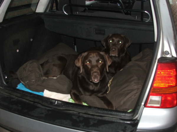 jullie vergeten ons niet!