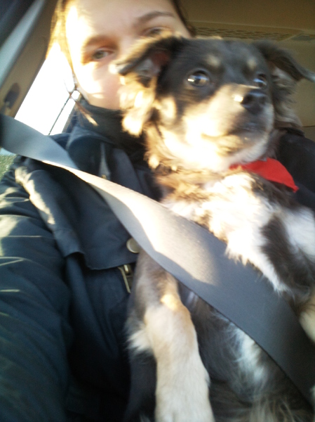 Diego in de autogordel