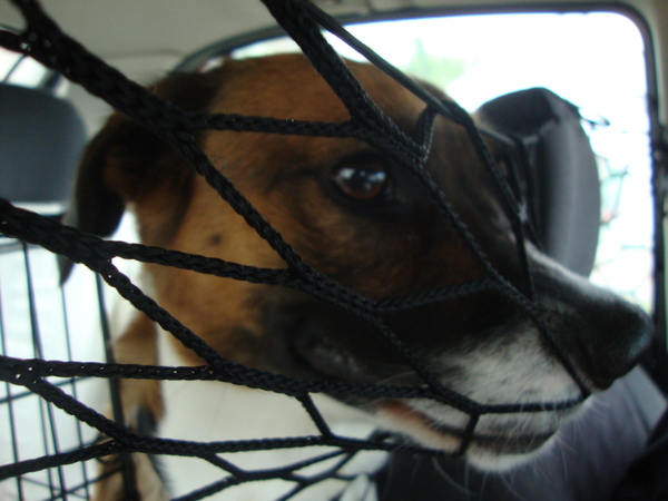 zo zit ik nu in de auto (diesel)