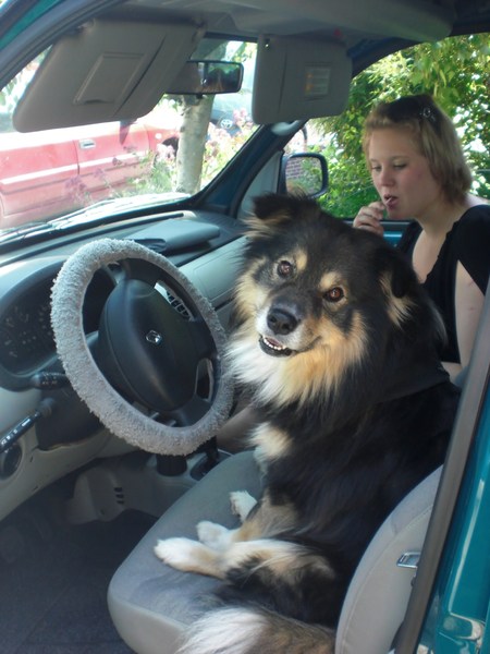 Taiko besloot te rijden vandaag