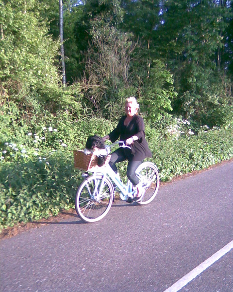 Heerlijk hangen In de fietsmand!!!!!!!