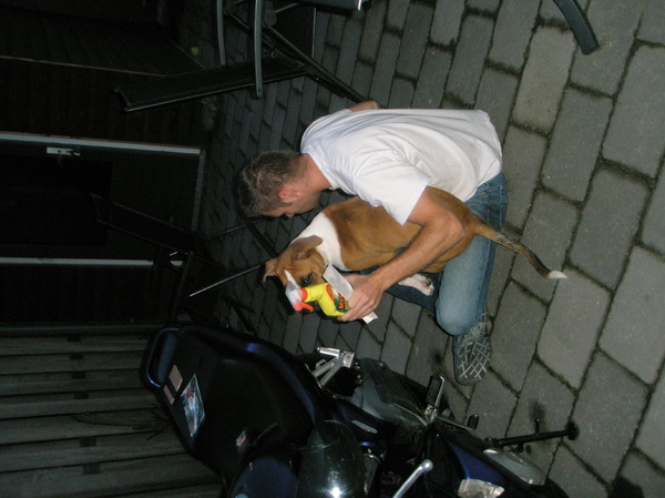 Sem helpt de baas met zijn favoriete vervoermiddel!